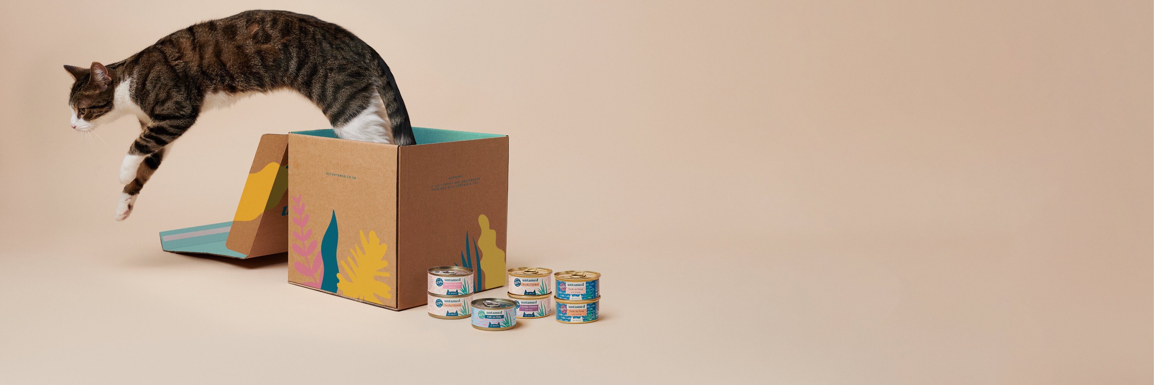 Untamed meal plan cat jumpinf out of a box
