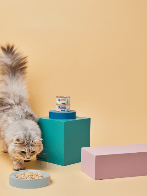 Untamed Cat Food