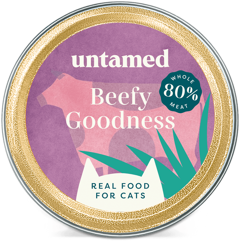 Beefy Goodness Image 3