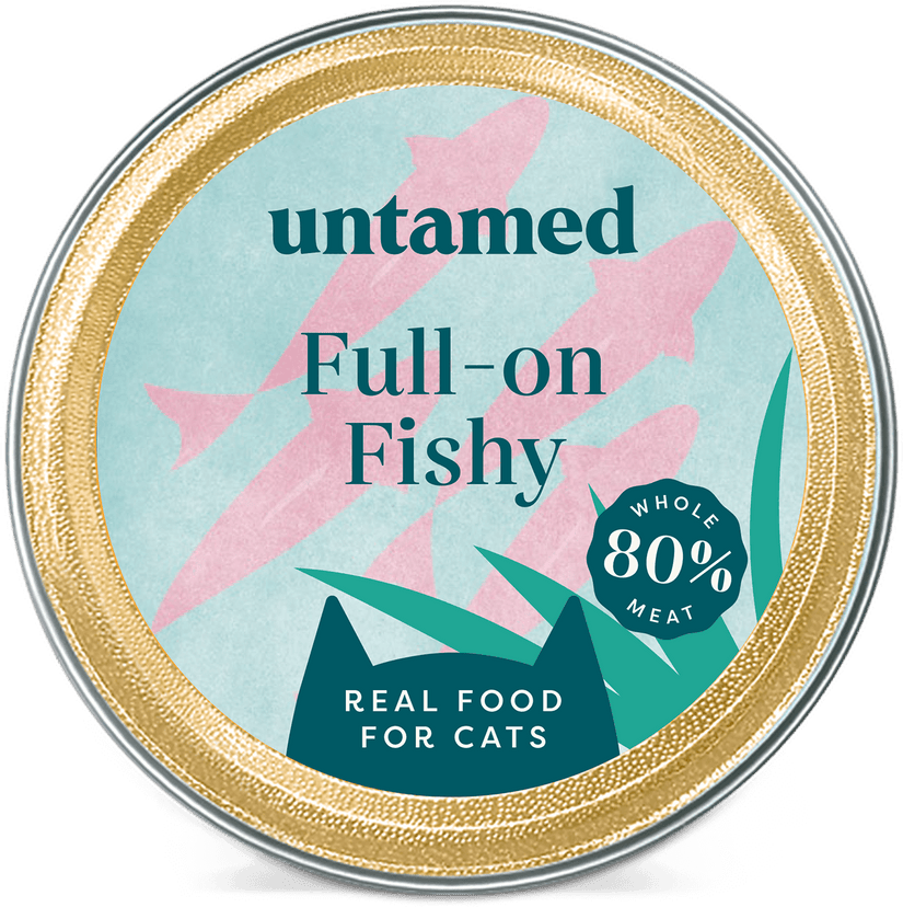 Full-on Fishy Image 3