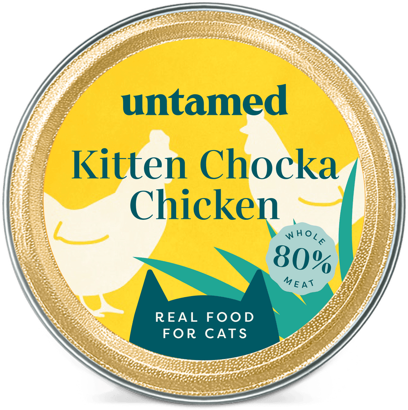 Kitten Chocka Chicken Image 3