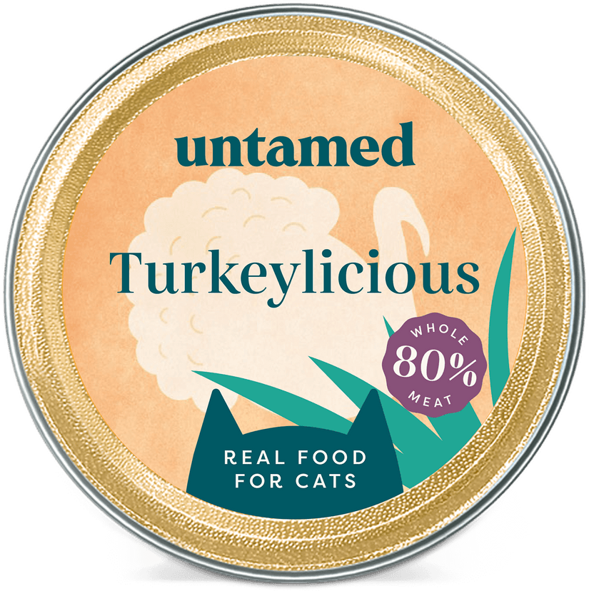 Turkeylicious Image 3