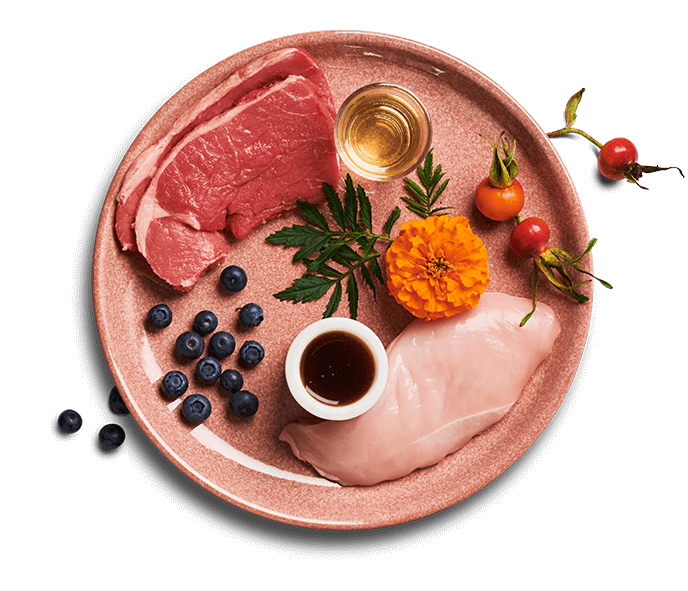Untamed Cat Food ingredients