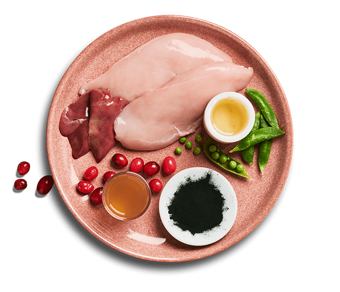 Untamed Cat Food ingredients