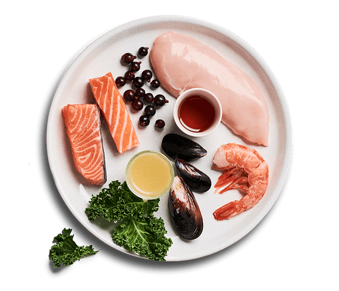 Untamed Cat Food ingredients